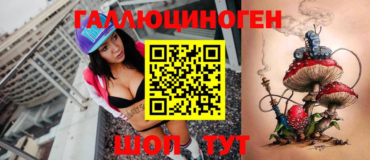 Кисловодск  Псилоцибиновые грибы Psilocybine cubensis  Вход с VPN 
